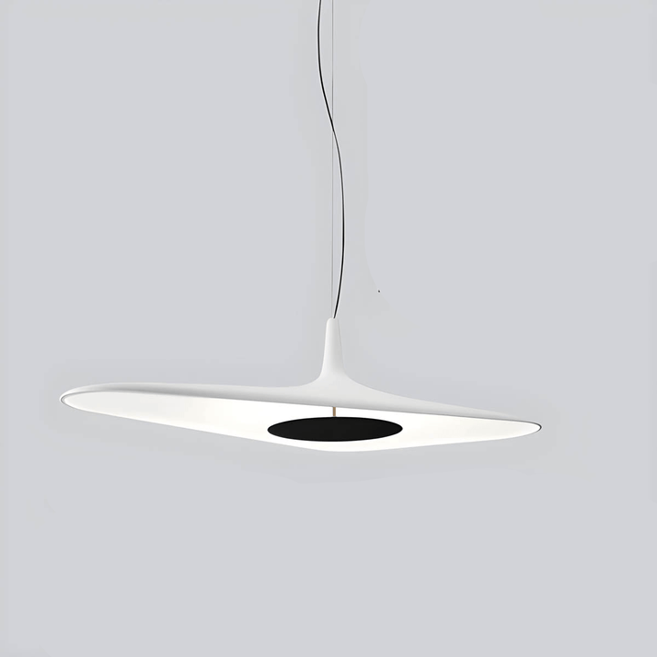 Modern Resin Pendant Light with LED 60cm/80cm