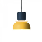 Navy blue + yellow
