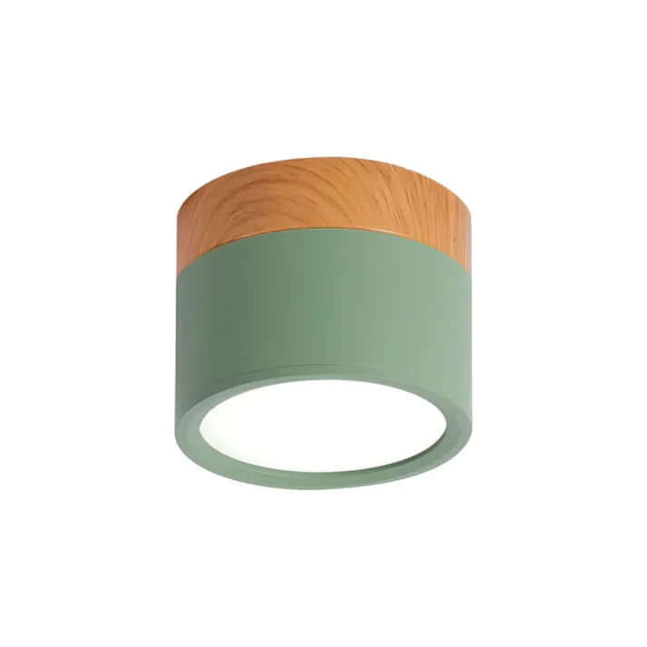 Modern Cylinder LED Ceiling Light
