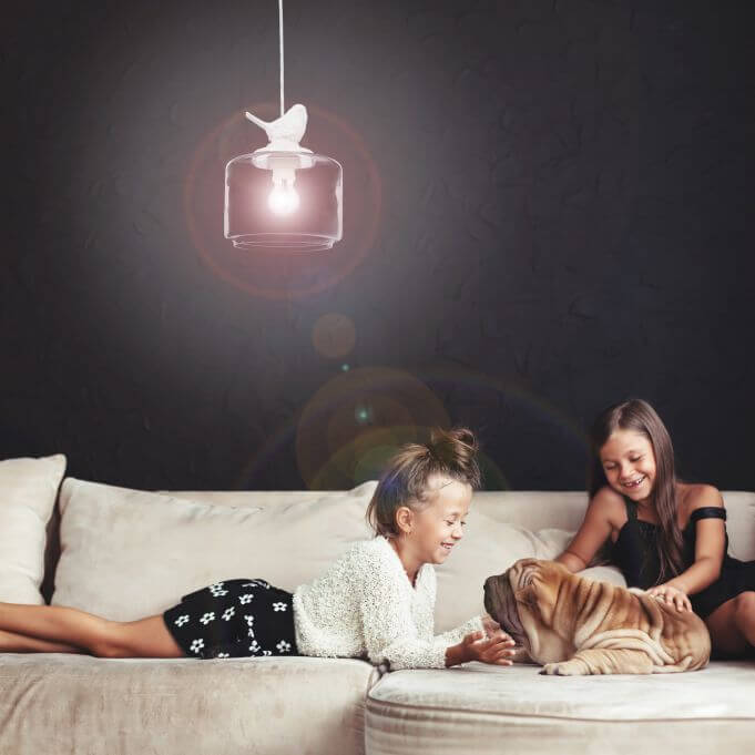 Decorative Bird Hanging Lamp with LED Bulbs