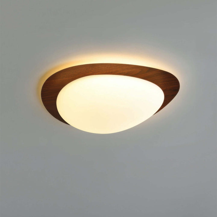 Modern Pebble Wood Grain LED Ceiling Light