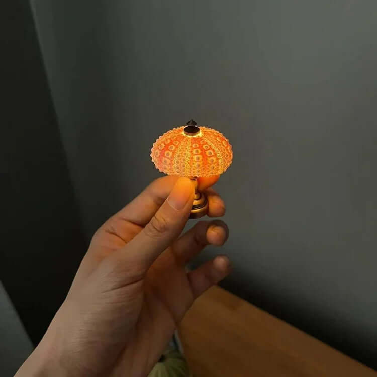 DIY Sea Urchin Night Light Kit