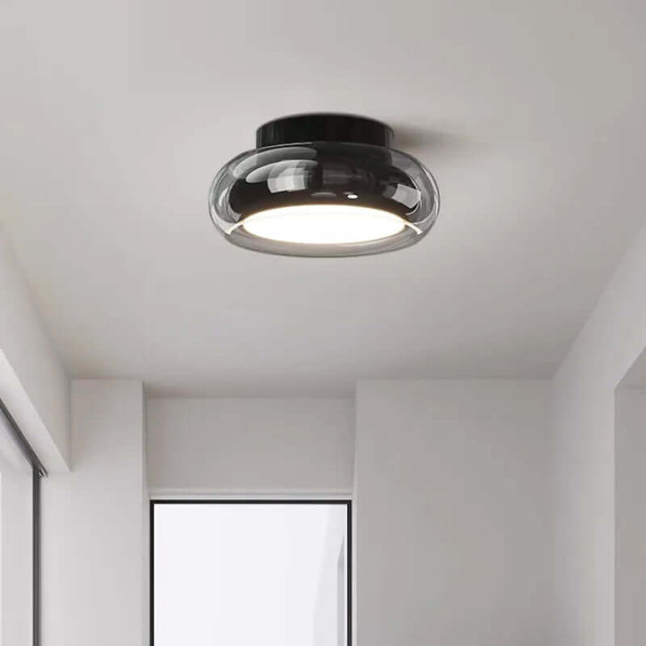 Vintage Small Acrylic LED Ceiling Light Fixture