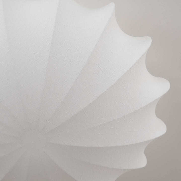 Modern Seashell Ceiling Light Fixture