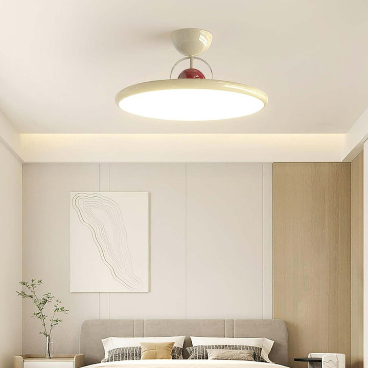 Modern Acrylic LED Ceiling Light Fixture