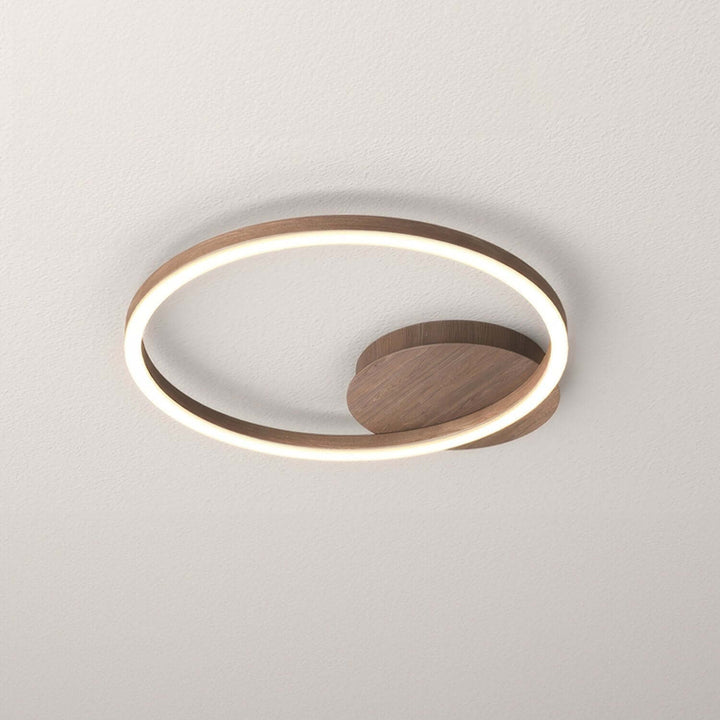 Modern LED Ring Ceiling Light Fixture