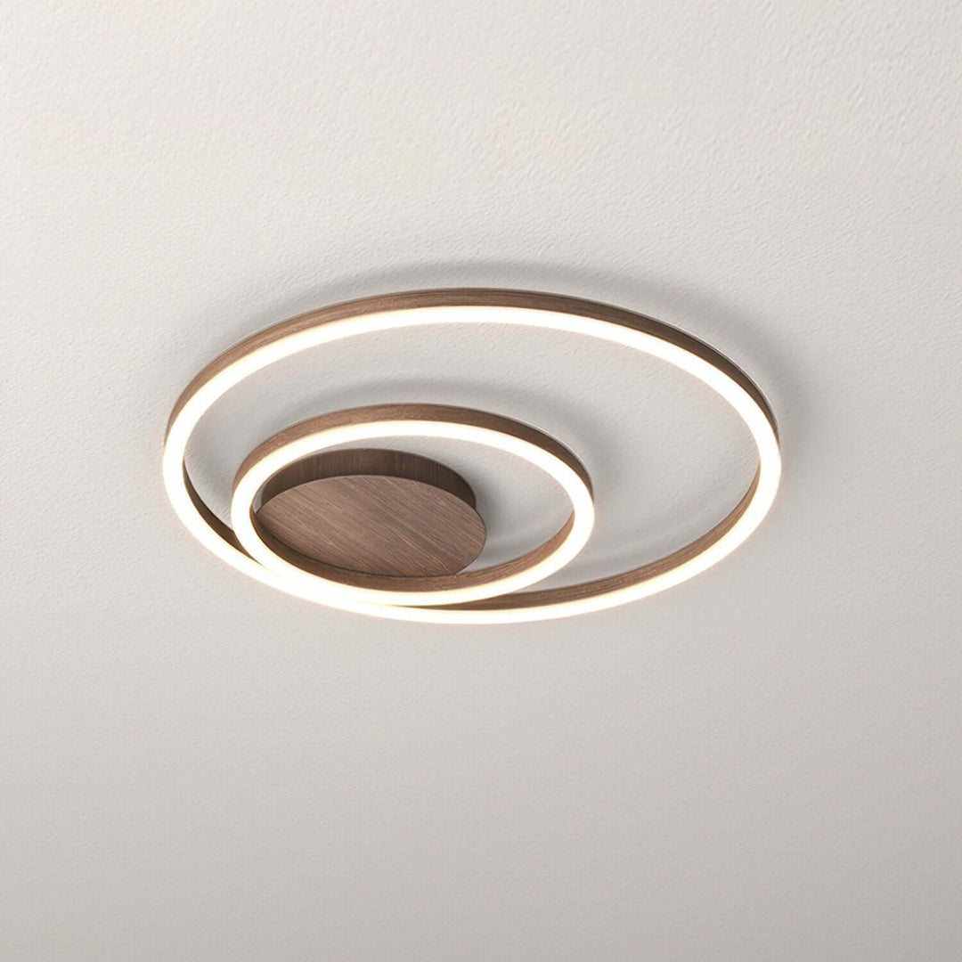 Modern LED Ring Ceiling Light Fixture