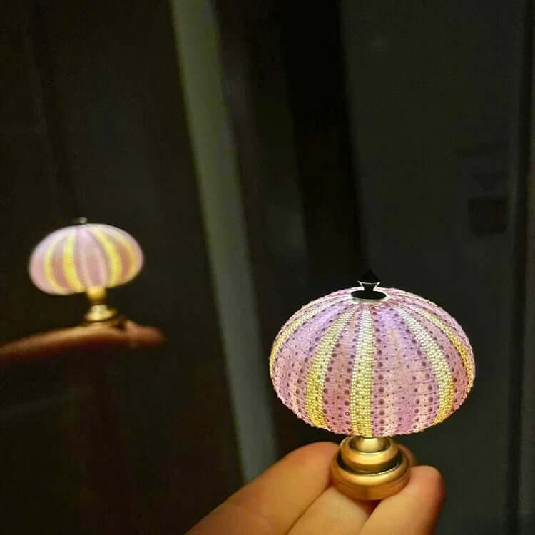 DIY Sea Urchin Night Light Kit