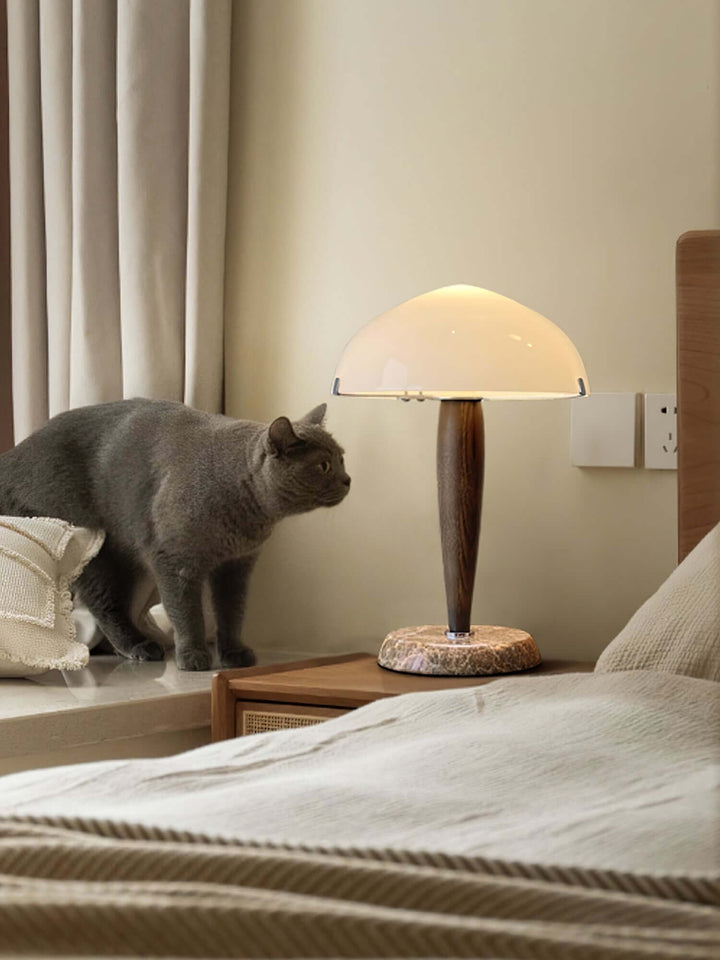 Elegant Glass & Wood Table Lamp