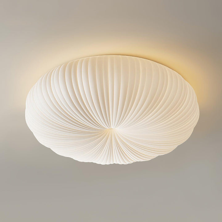 Modern LED Ceiling Light with Remote Dimmer