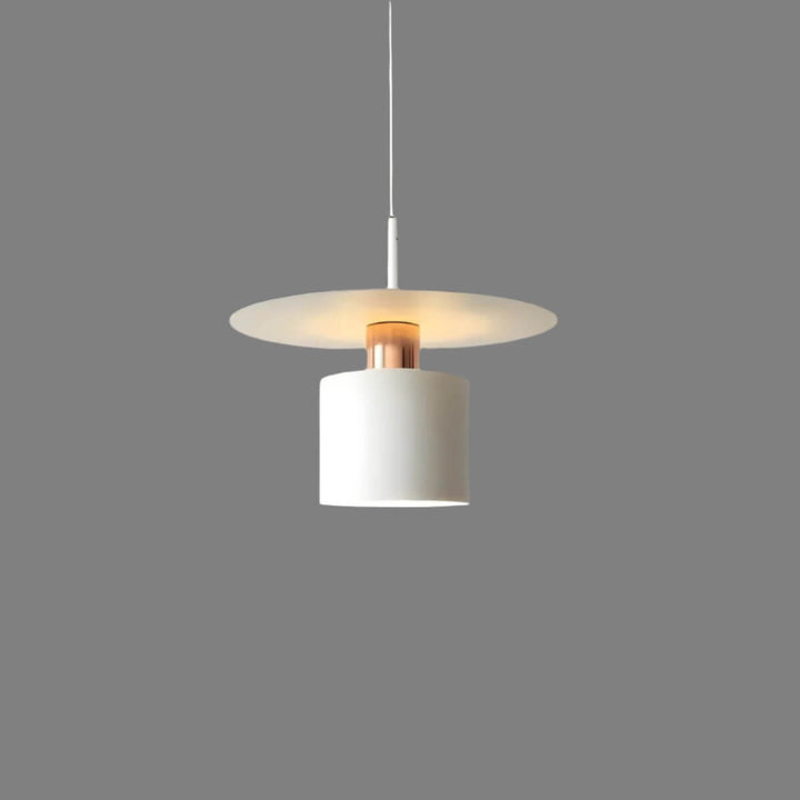 Modern Metal Pendant Light, 20cm/30cm, LED, E27