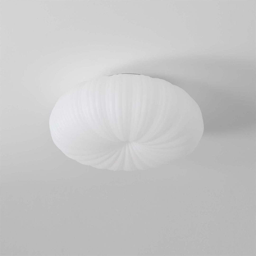 Modern LED Ceiling Light with Remote Dimmer