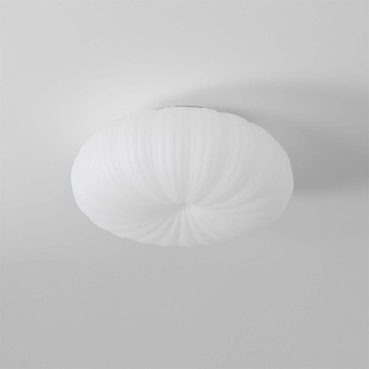 Modern LED Ceiling Light with Remote Dimmer