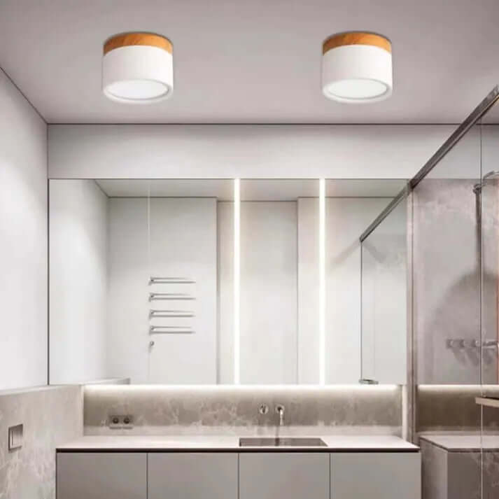 Modern Cylinder LED Ceiling Light