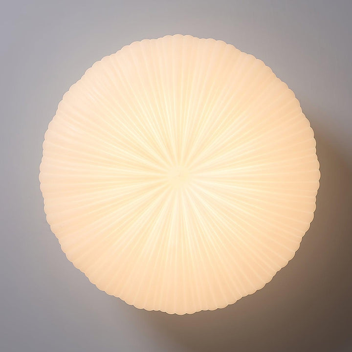 Modern LED Ceiling Light with Remote Dimmer