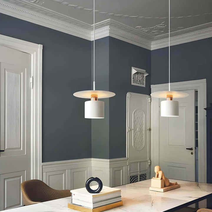 Modern Metal Pendant Light, 20cm/30cm, LED, E27