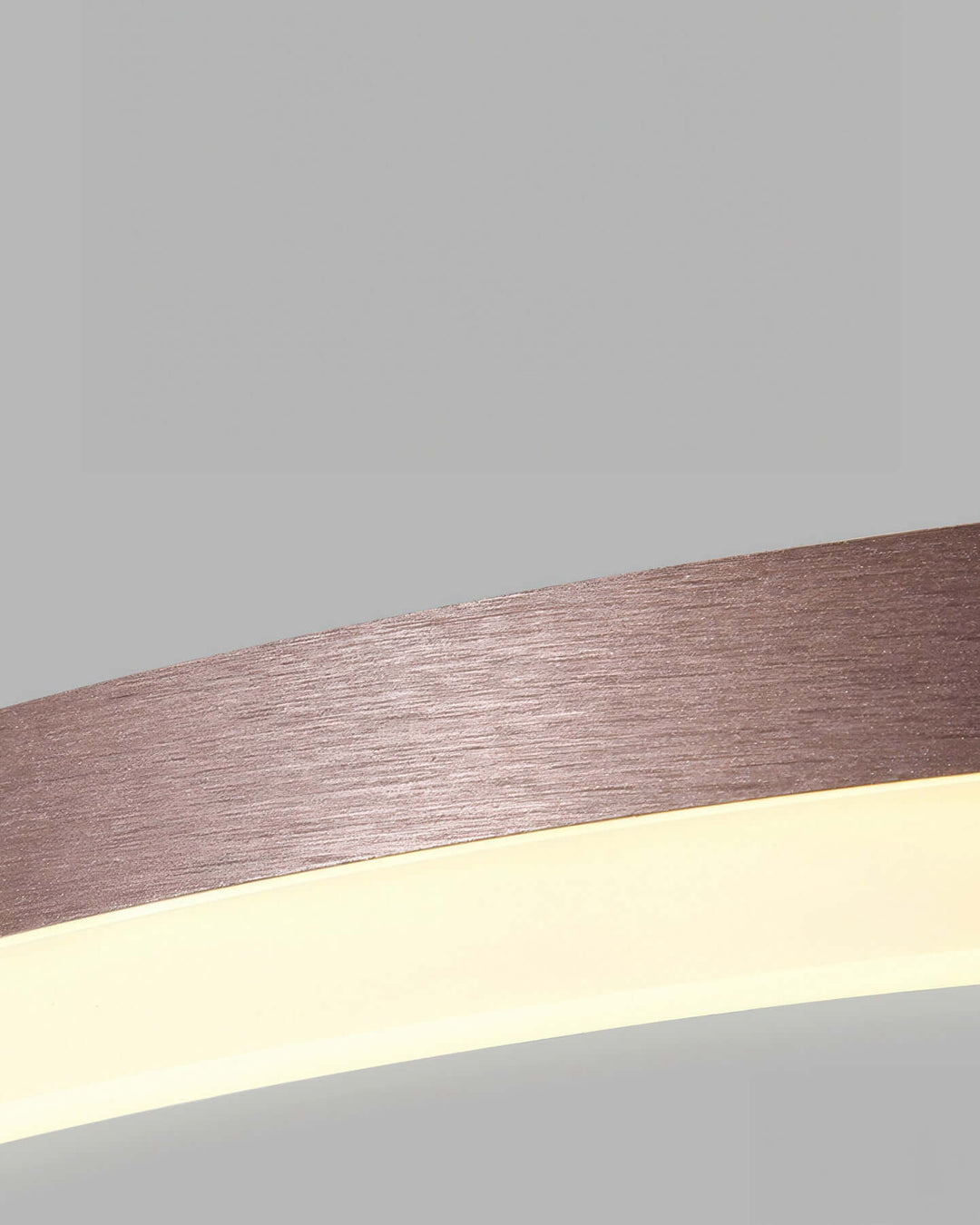 Modern LED Ring Ceiling Light Fixture