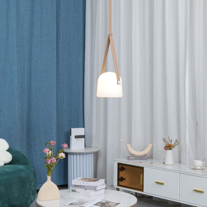 Modern Pendant Lamp with Metal Accents