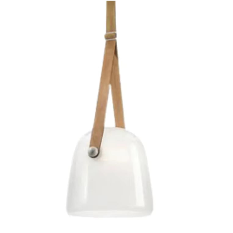 Modern Pendant Lamp with Metal Accents