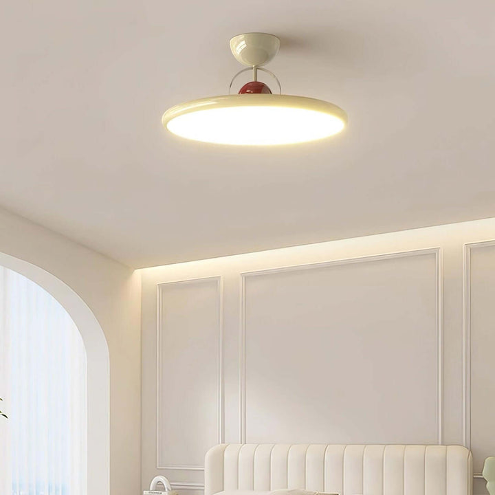 Modern Acrylic LED Ceiling Light Fixture