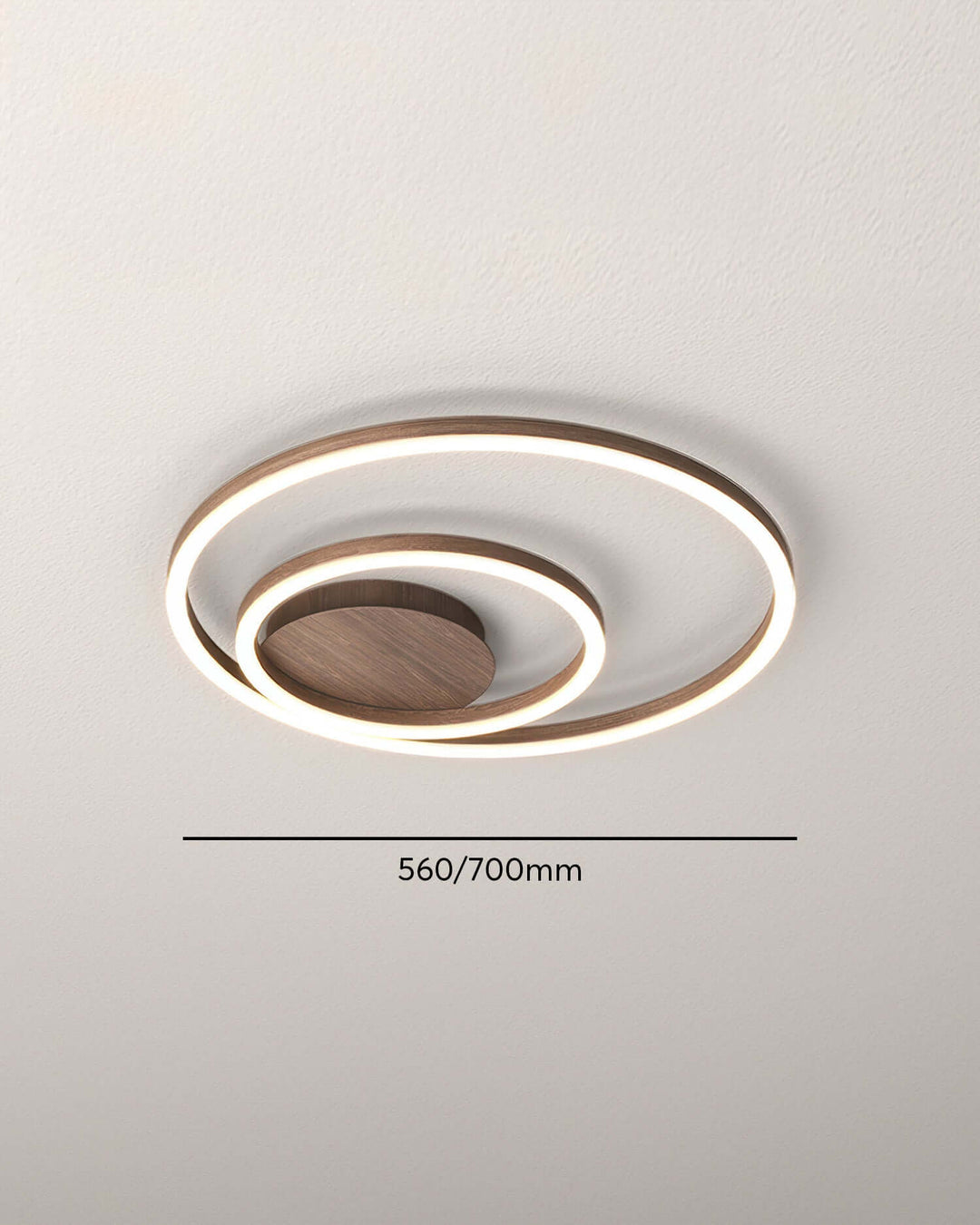 Modern LED Ring Ceiling Light Fixture