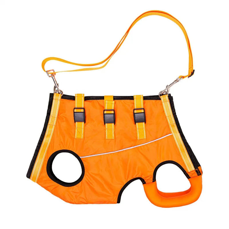 Adjustable dog lift harness for senior pets, full-body support sling, ergonomic design, padded and breathable material.