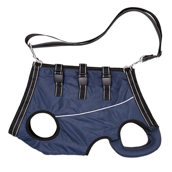 Adjustable dog lift harness for senior pets, full-body support sling, ergonomic design, padded and breathable material.
