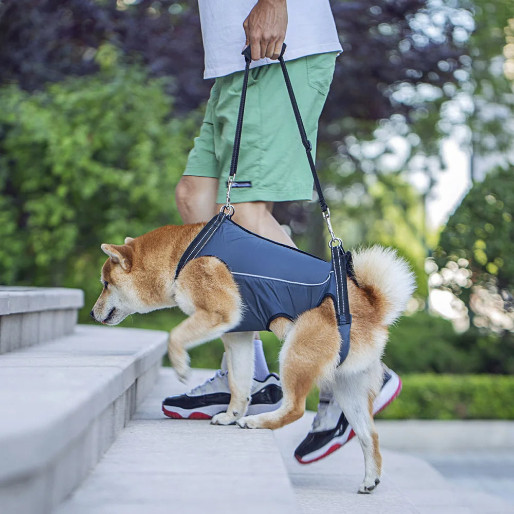 Adjustable dog lift harness for senior pets, full-body support sling, ergonomic design, padded and breathable material.
