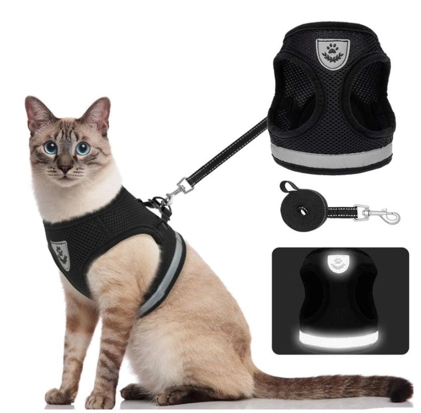 Adjustable, escape-proof cat harness and leash set for safe outdoor walks.