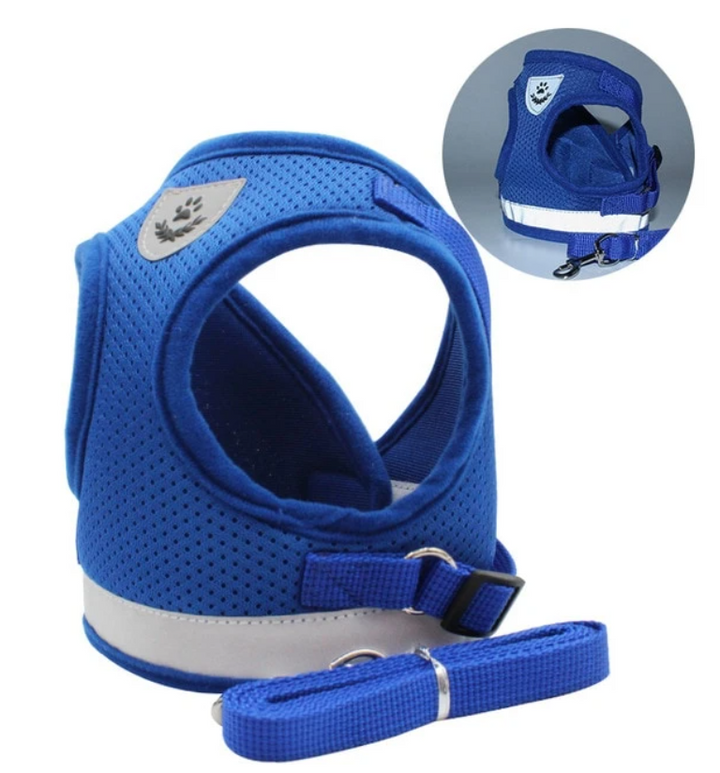 Soft, breathable cat harness and leash set, adjustable for ultimate comfort.