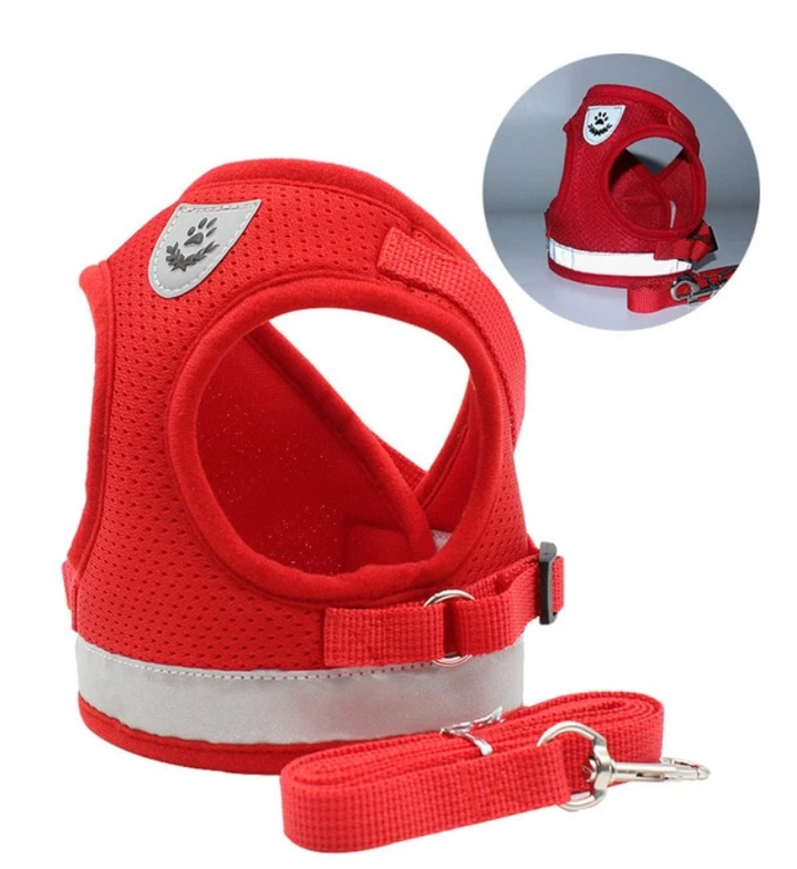 Training-ready cat harness & leash, escape-proof and adjustable for secure fit.