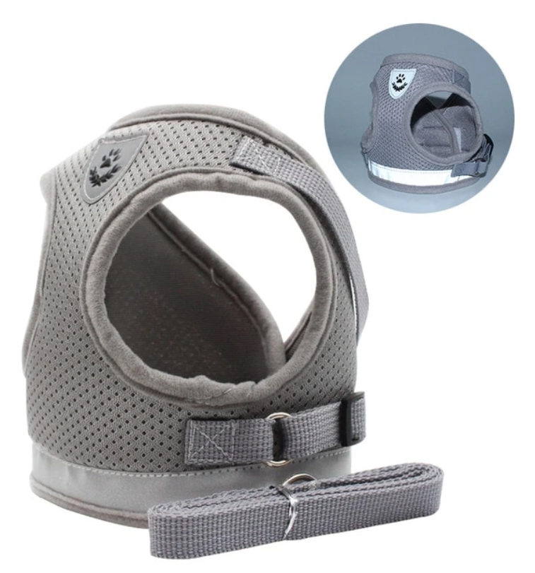 Pet supplies: adjustable, reflective cat harness and leash for outdoor safety.