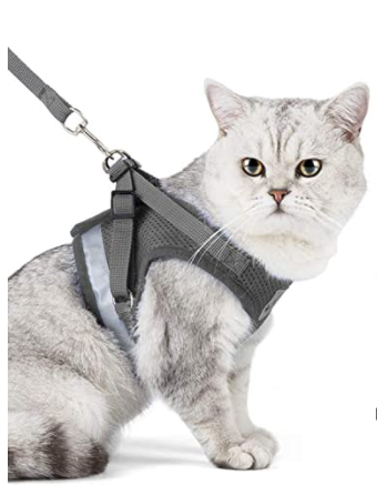 Securely fitted escape-proof cat harness and leash for active outdoor cats.