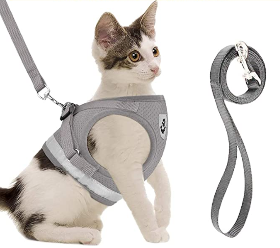 Reflective pet leash & adjustable cat harness, ideal for night walks.