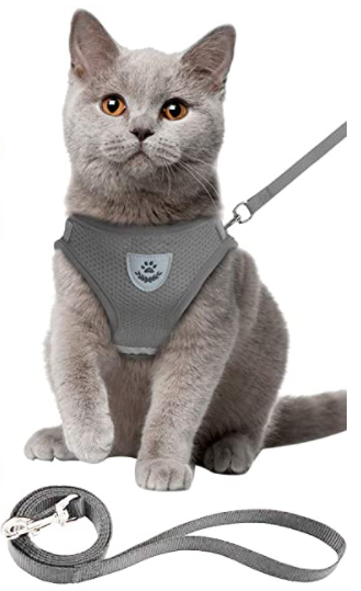 Escape-proof outdoor cat harness set, with strong leash for training.