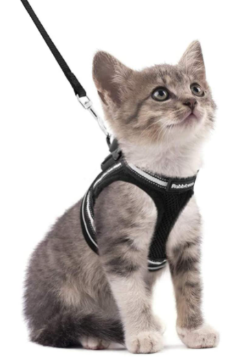 Durable cat harness and leash, reflective for visibility, escape-proof design.