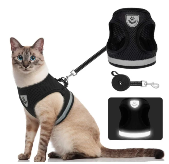 All-weather cat harness & leash set, adjustable for a perfect, secure fit.