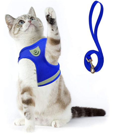 Adventure-ready cat harness & leash for outdoor cats, adjustable and escape-proof.
