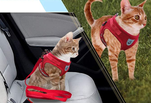 Durable, adjustable cat harness & leash set for adventurous outdoor cats.