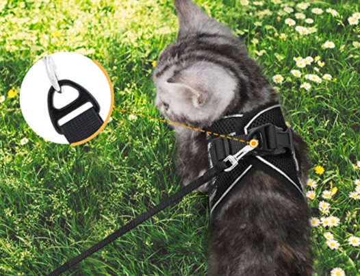 Secure, reflective cat harness and leash for safe outdoor walks and training.