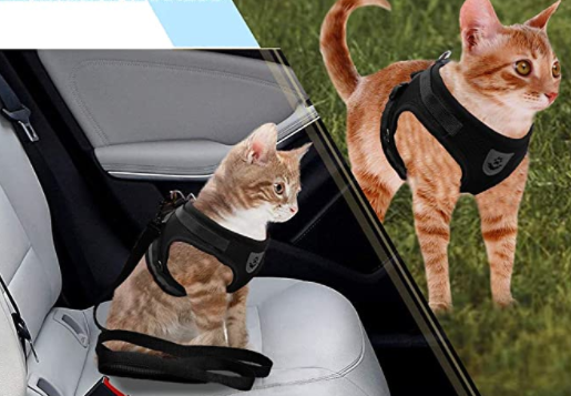 Complete adjustable, escape-proof cat harness and leash set for walks.