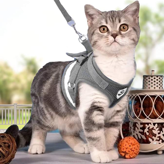 Outdoor cat harness & leash, adjustable & escape-proof for safe exploration.