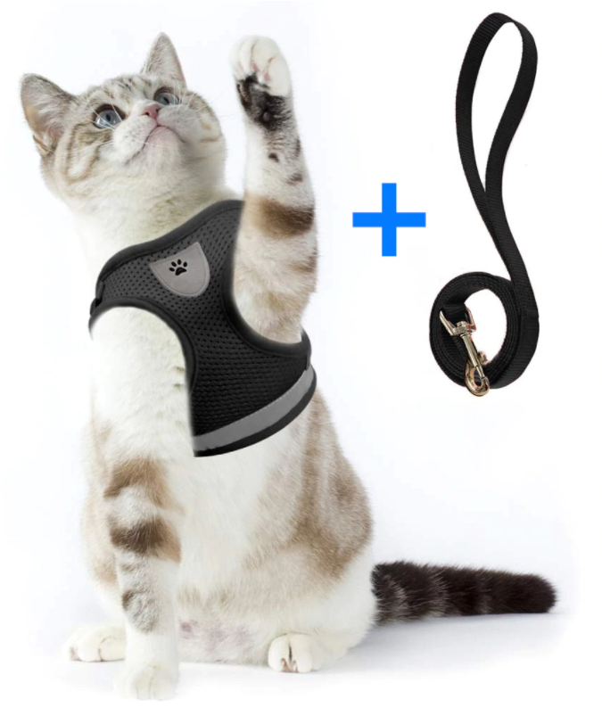 Premium adjustable, escape-proof cat harness & leash set for pet supplies.