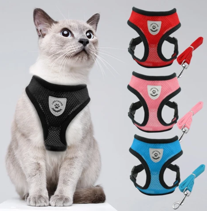 Comfortable, reflective, escape-proof cat harness & leash for outdoor pet walks.