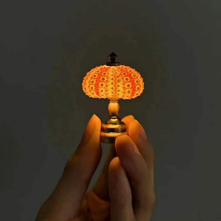 DIY Sea Urchin Night Light Kit