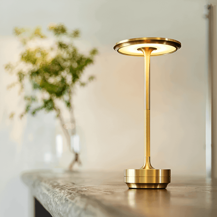 Rechargeable LED Table Lamp with Touch Control
