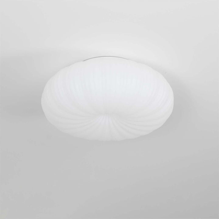 Modern LED Ceiling Light with Remote Dimmer