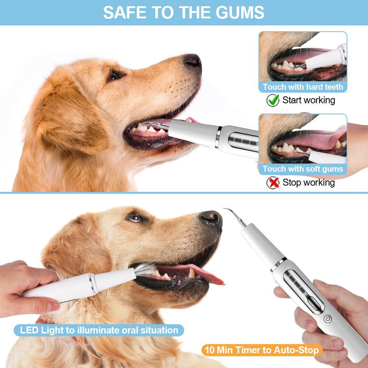 "Black pet dental tool kit for dogs and cats, ultrasonic cleaning, promotes oral hygiene and fresh breath, easy USB recharge.