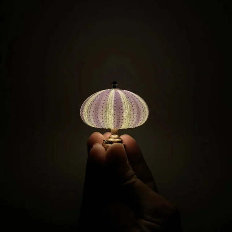 DIY Sea Urchin Night Light Kit