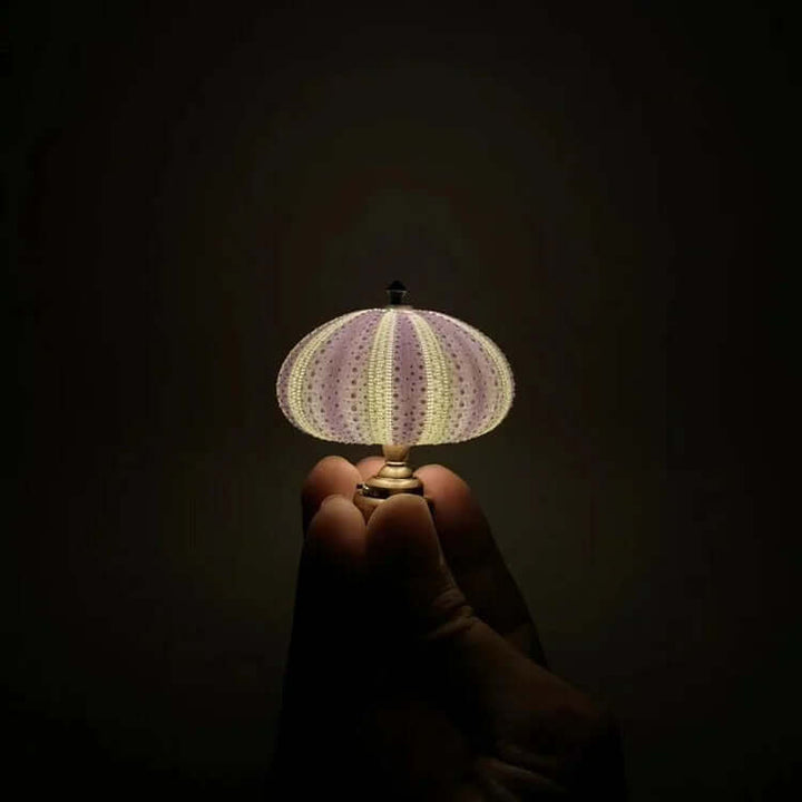DIY Sea Urchin Night Light Kit